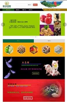 瀚數(shù)案例-麗江文化縣農(nóng)特網(wǎng)(政府性質)